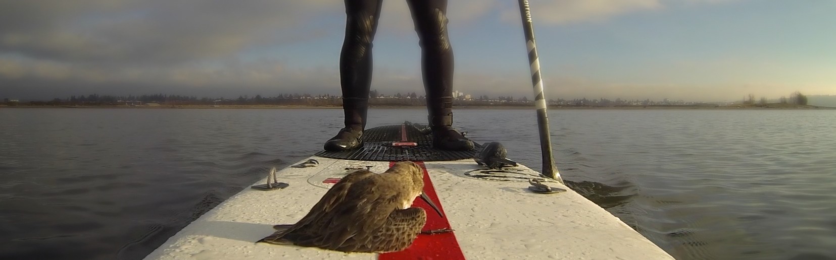 Stand Up Paddle the World Radio