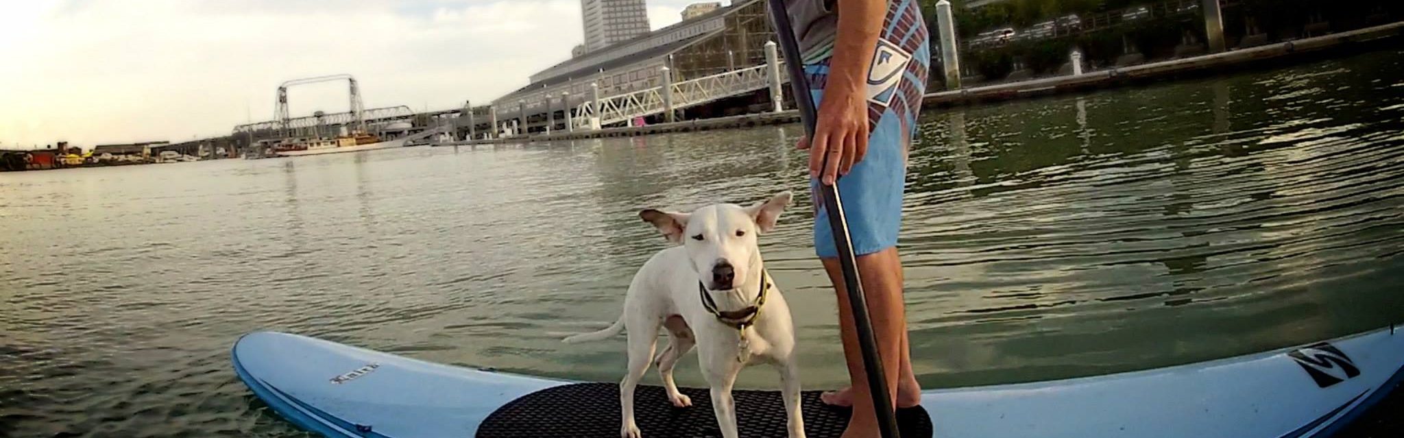 Stand Up Paddle the World Radio